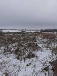 Продаж земельна ділянка Лєзнєво фото 4 Продаж земельна ділянка Лєзнєво фото 4