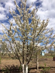 ������ �������� ������ � ���������� ��������. ���� 3