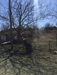 Участок в Лезнево фото 4 Участок в Лезнево фото 4