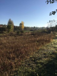 �������� ������ � ��������� ���� 11