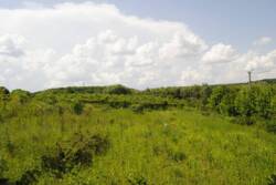 �������� �������� ������ ���� 11