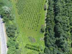 �������� �������� ������ ���� 49