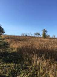 �������� ������ � ��������� ���� 14