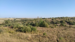 ������ �������� ������ ���� 3