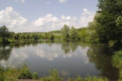 �������� �������� ������ ���� 40