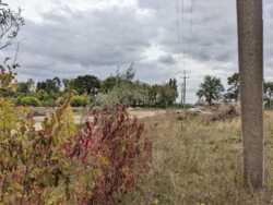 ��������� ������� �������� ����, �����������, �����������, ��������� ���� 20