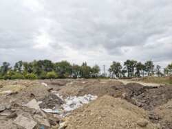 ��������� ������� �������� ����, �����������, �����������, ��������� ���� 14