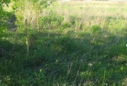 ������ �������� ������ �� ���. ��������! ���� 3