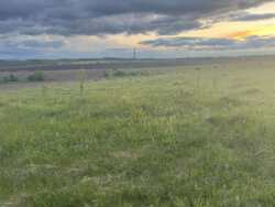 ������ �������� ����� ���� 3