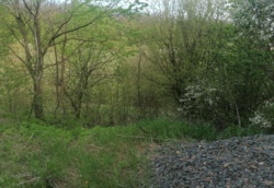 ������ �������� ������ 10 ����� ���� 9