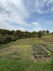 ������ ���� ���.������� ���� 1