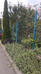 ������ ���� ���.������� ���� 18