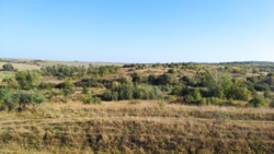 ������ �������� ������ ���� 5