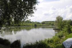 �������� �������� ������ ���� 43