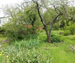 Продается участок Короленко, Хмельницкий, Хмельницкая, Дубово фото 2 Продается участок Короленко, Хмельницкий, Хмельницкая, Дубово фото 2