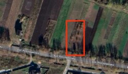 ��������� ������� ���. ������������, �����������, �����������, �������� ���� 3