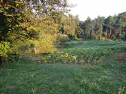 ������ �������� ������ �� ������� �������� � ��� ���������, ����������� ������, ̳����� ������, ����� 25 ����� ���� 4