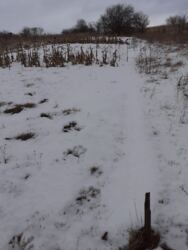 ������ �������� ������ � ˺����� ���� 2