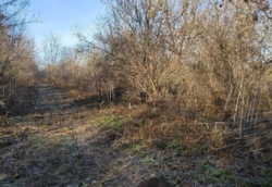 ������ �������� ������ ���� 6