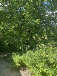 Продаж земельної ділянкі фото 4 Продаж земельної ділянкі фото 4