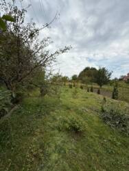 ������ ���� ���.������� ���� 4