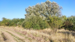 ������ �������� ������ ���� 4