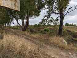 ��������� ������� �������� ����, �����������, �����������, ��������� ���� 4