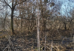 ������ �������� ������ ���� 7