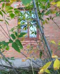 Продается участок Немыченцы, Хмельницкий, Хмельницкая фото 10 Продается участок Немыченцы, Хмельницкий, Хмельницкая фото 10