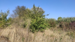 ������ �������� ������ ���� 1