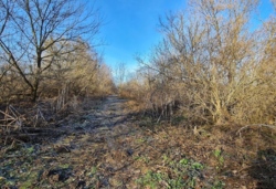 ������ �������� ������ ���� 9