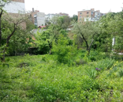 Продается участок Короленко, Хмельницкий, Хмельницкая, Дубово фото 3 Продается участок Короленко, Хмельницкий, Хмельницкая, Дубово фото 3