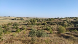 ������ �������� ������ ���� 4