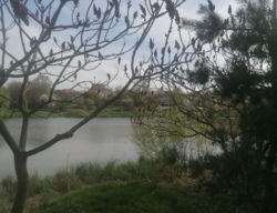 ������ �������� ������ 10 ����� ���� 13