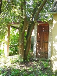 ������ �������, ���� ���� 6