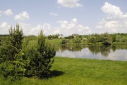 �������� �������� ������ ���� 1