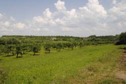 �������� �������� ������ ���� 34