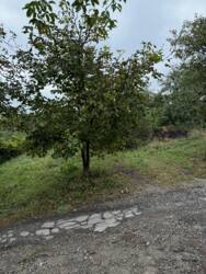 �������� ������ ���������. ���� 9