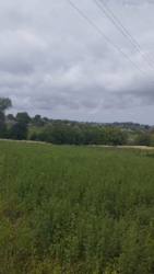 ��������� ������� ���. ������������, �����������, �����������, �������� ���� 9