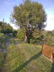 ������ �������� ������ �� ������� �������� � ��� ���������, ����������� ������, ̳����� ������, ����� 25 ����� ���� 9