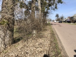 Ділянка під забудову в с.Сонячне фото 4 Ділянка під забудову в с.Сонячне фото 4