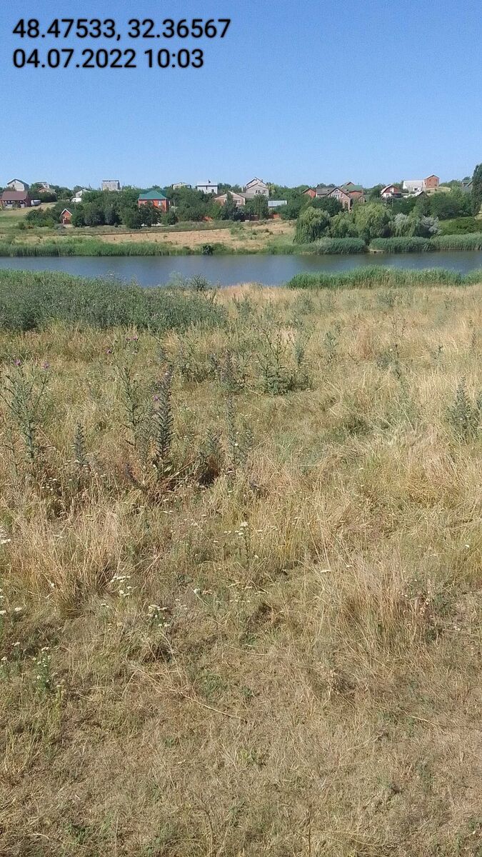 Ділянка 12сот. Бережинка фото 1 Ділянка 12сот. Бережинка фото 1