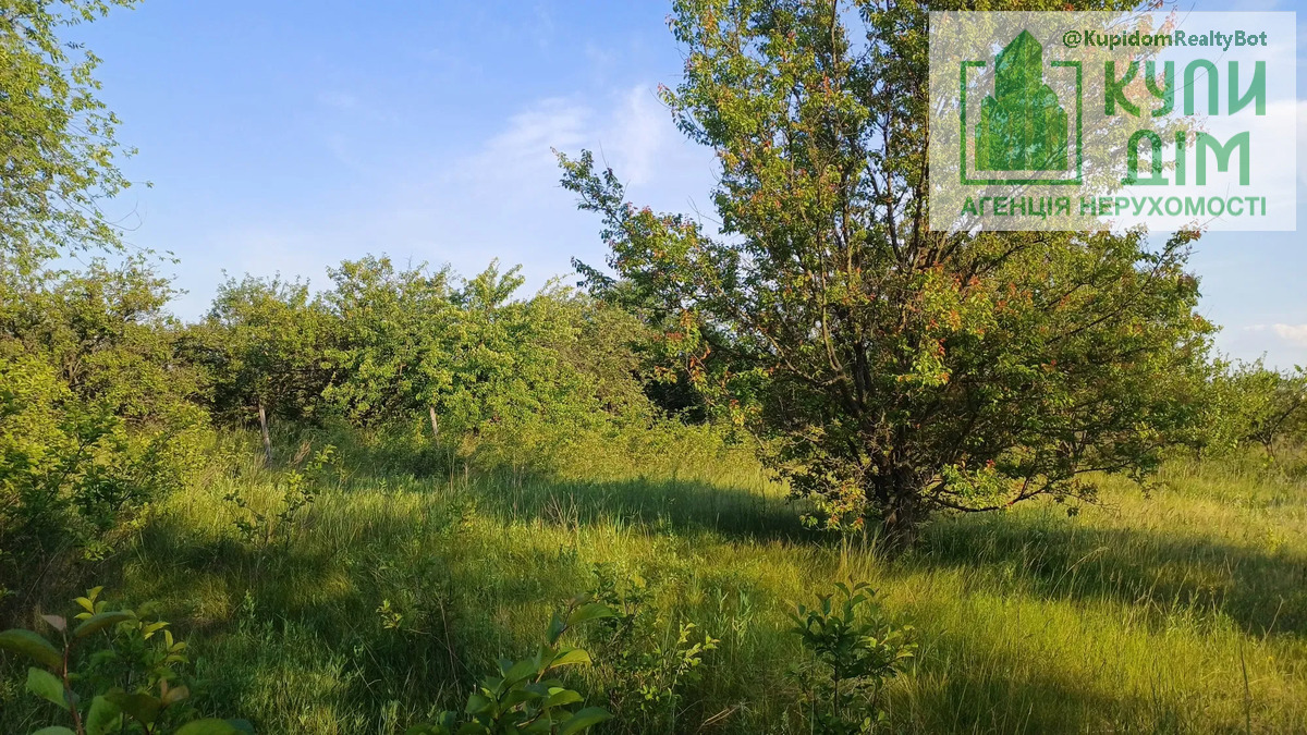 Дачна ділянка геолог. фото 1 Дачна ділянка геолог. фото 1