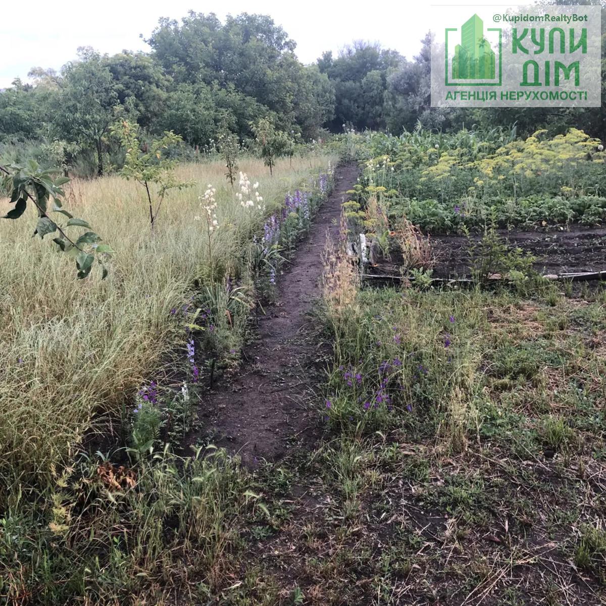 Продам дачну ділянку фото 1 Продам дачну ділянку фото 1