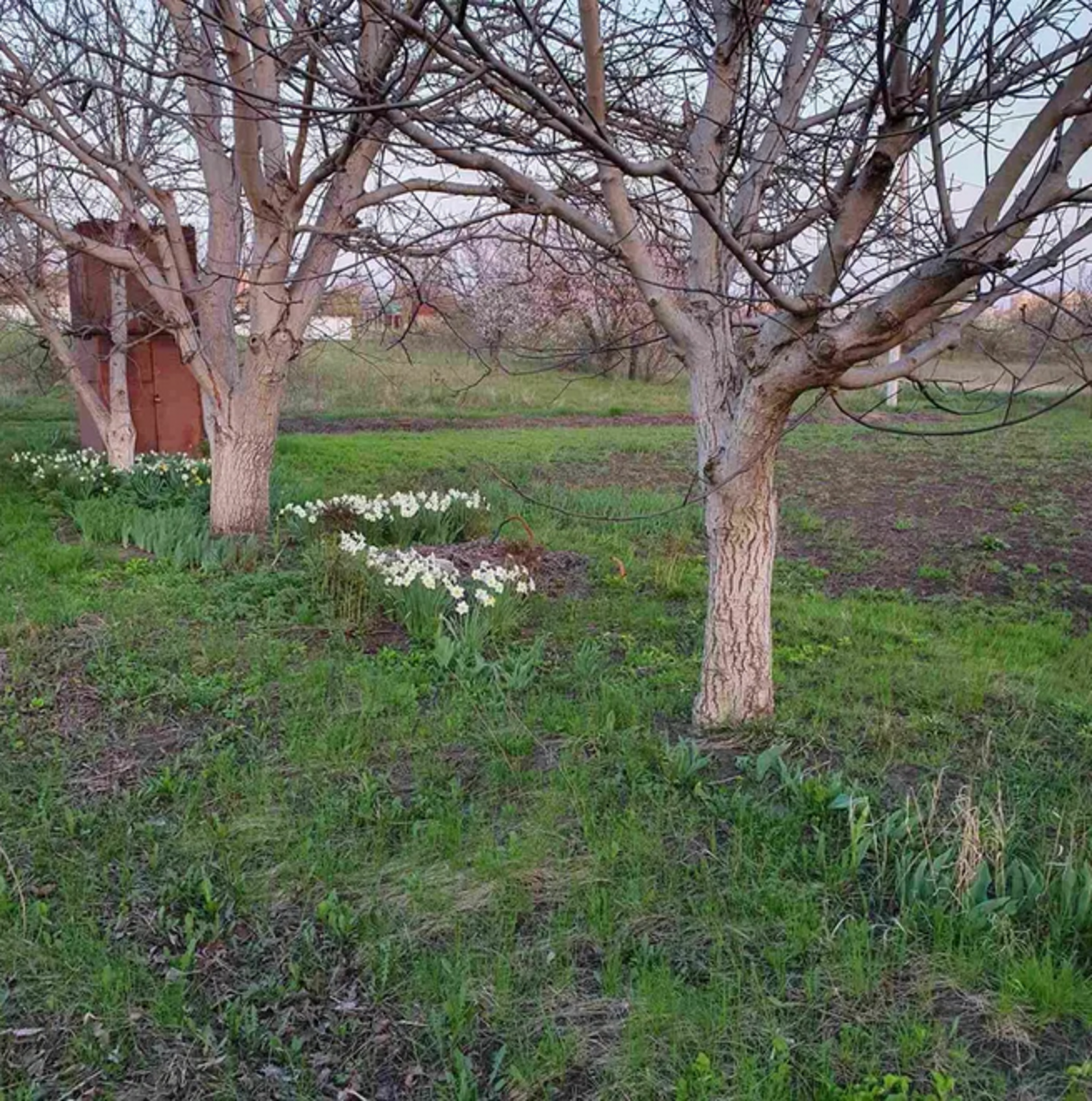 Продам ділянку під забудову 2500 тис доларів фото 1 Продам ділянку під забудову 2500 тис доларів фото 1
