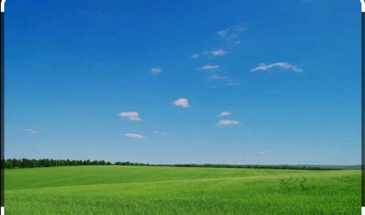 Земельна ділянка. фото 1 Земельна ділянка. фото 1