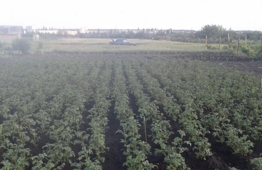 Продам земельну ділянку. фото 1 Продам земельну ділянку. фото 1
