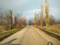 Продажа уч.1.3га(Победа) вид на р.Днепр под коттеджный городок фото 7 Продажа уч.1.3га(Победа) вид на р.Днепр под коттеджный городок фото 7