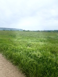 Продам 1.5 Га участок фото 3 Продам 1.5 Га участок фото 3