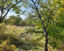 Продажа участка 11сот в Старых Кайдаках фото 2 Продажа участка 11сот в Старых Кайдаках фото 2